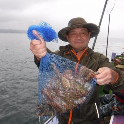 川崎丸 釣果