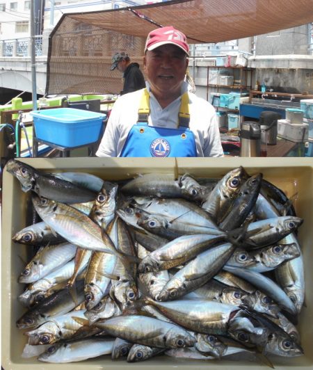 荒川屋 釣果