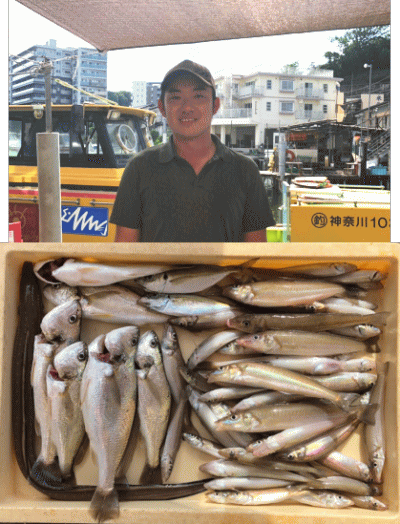 荒川屋 釣果