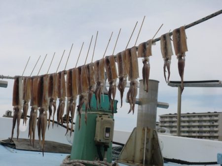 春盛丸 釣果