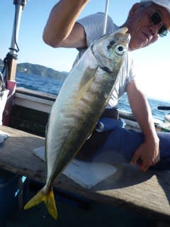 松福丸 釣果