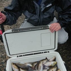 松栄丸 釣果