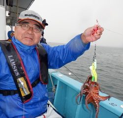 かもめ釣船 釣果