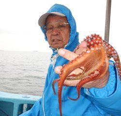 かもめ釣船 釣果