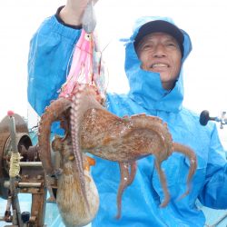 かもめ釣船 釣果