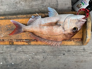 幸吉丸 釣果