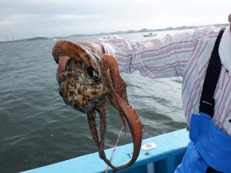 かもめ釣船 釣果