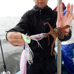 かもめ釣船 釣果