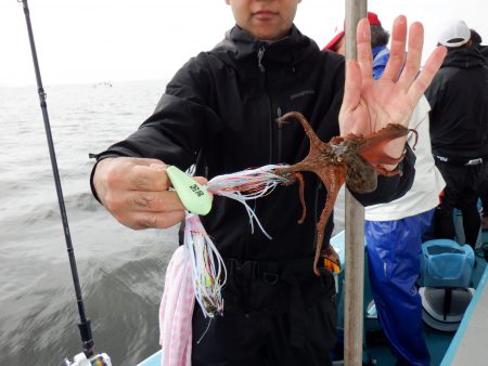 かもめ釣船 釣果