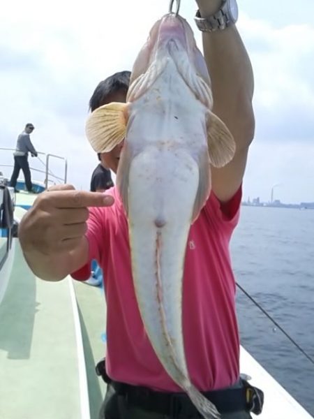 さわ浦丸 釣果