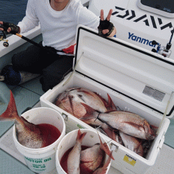 遊漁船ブルーウッズ 釣果