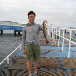 オリジナルメーカー海づり公園(市原市海づり施設) 釣果