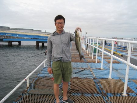 オリジナルメーカー海づり公園(市原市海づり施設) 釣果