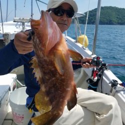 遊漁船　ニライカナイ 釣果