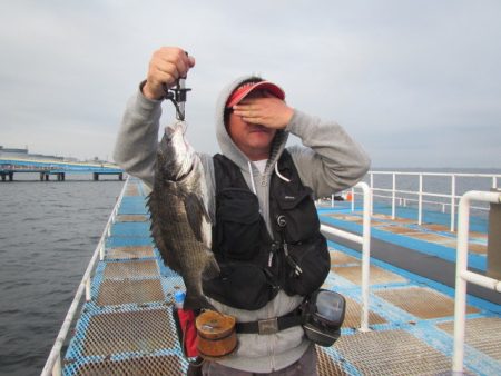 オリジナルメーカー海づり公園(市原市海づり施設) 釣果