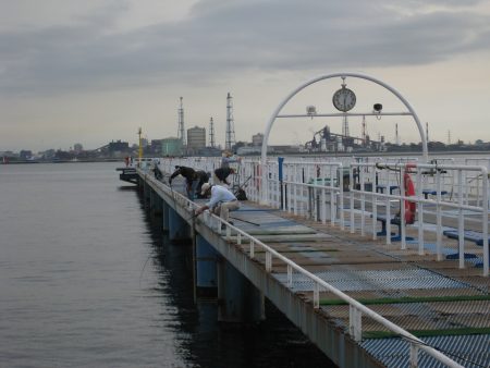 オリジナルメーカー海づり公園(市原市海づり施設) 釣果