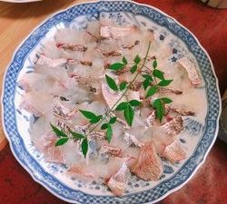 白墨丸 釣果