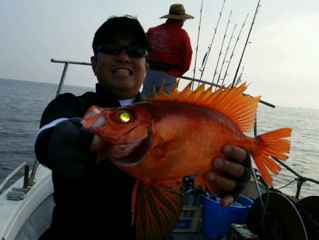 つれ鷹丸 釣果