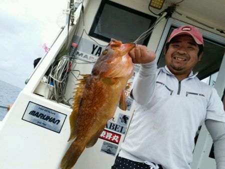 つれ鷹丸 釣果