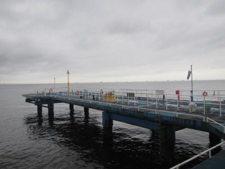 オリジナルメーカー海づり公園(市原市海づり施設) 釣果