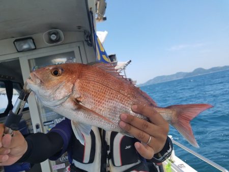 遊漁船　ニライカナイ 釣果