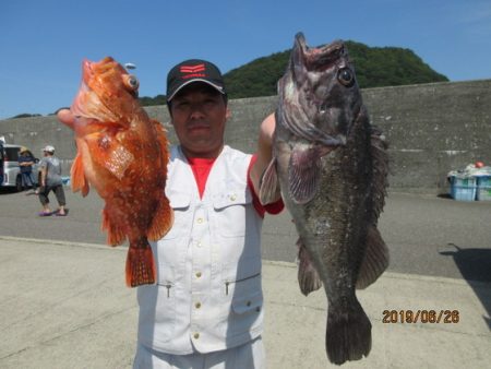 大進丸（新潟） 釣果