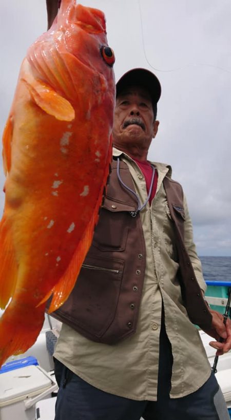 伊豆下田フィッシング 釣果