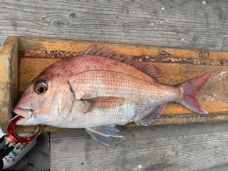 幸吉丸 釣果