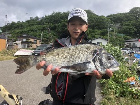 由良渡船 釣果