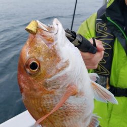 遊漁船　ニライカナイ 釣果