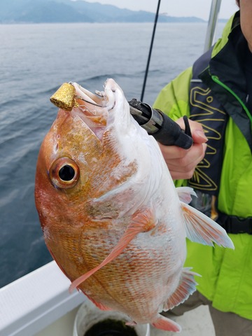 遊漁船　ニライカナイ 釣果