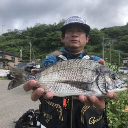 由良渡船 釣果