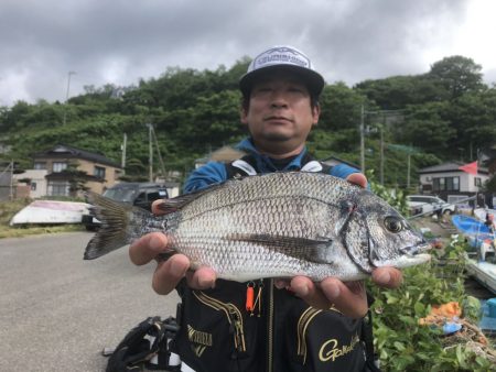 由良渡船 釣果