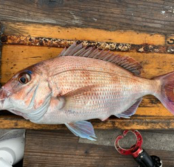 幸吉丸 釣果