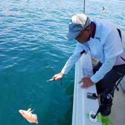 遊漁船　ニライカナイ 釣果