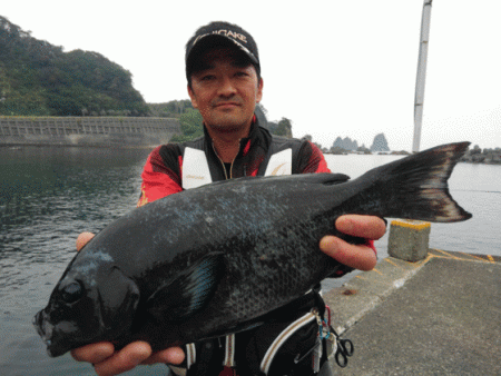 宮島丸 釣果