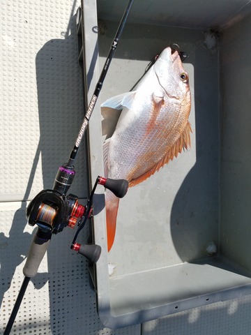 遊漁船　ニライカナイ 釣果