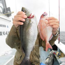 まとばや 釣果