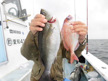 まとばや 釣果