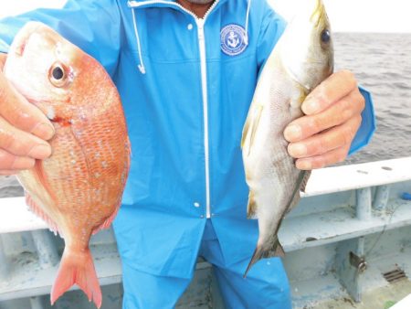 まとばや 釣果