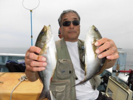 まとばや 釣果