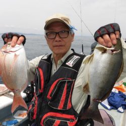 まとばや 釣果