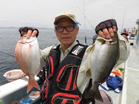 まとばや 釣果