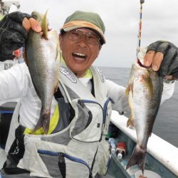 まとばや 釣果