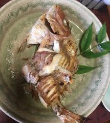 白墨丸 釣果