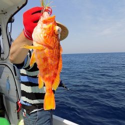 フィッシングボート空風（そらかぜ） 釣果