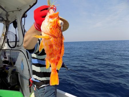 フィッシングボート空風（そらかぜ） 釣果