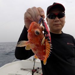 フィッシングボート空風（そらかぜ） 釣果