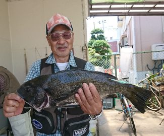 宮川丸 釣果 千葉 木更津沖堤防 ヘチ釣り クロダイ チヌ 陸っぱり 釣り 魚釣り 釣果情報サイト カンパリ