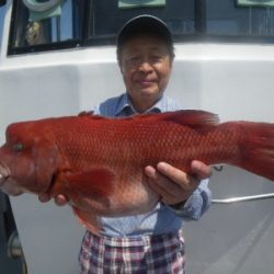 磯部釣船 直栄丸 釣果